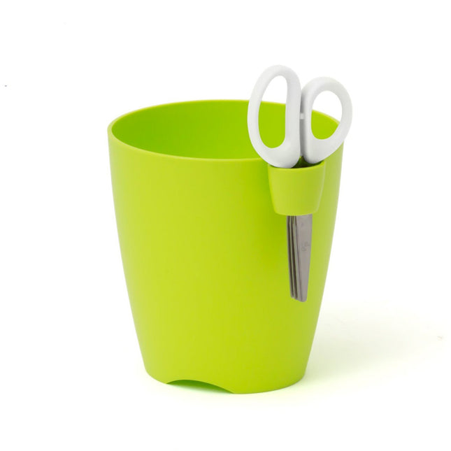00404630_kvetinac-limes-uno-15cm-limetka
