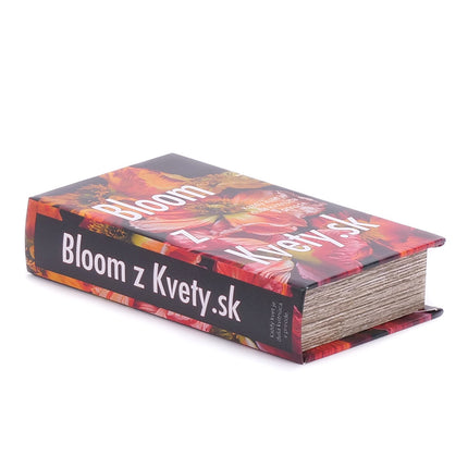 00612466_box-kniha-t6-21x13x5cm