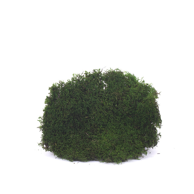 01400046_flat-moss-mach-zeleny