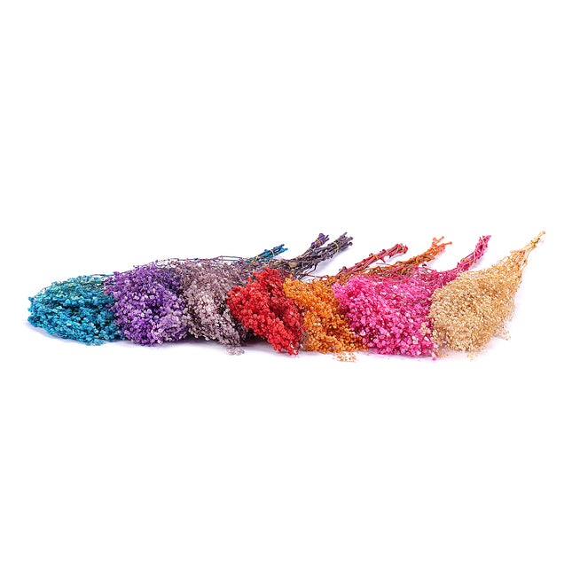 01400051_gypsophila-trvacna-120g-balenie