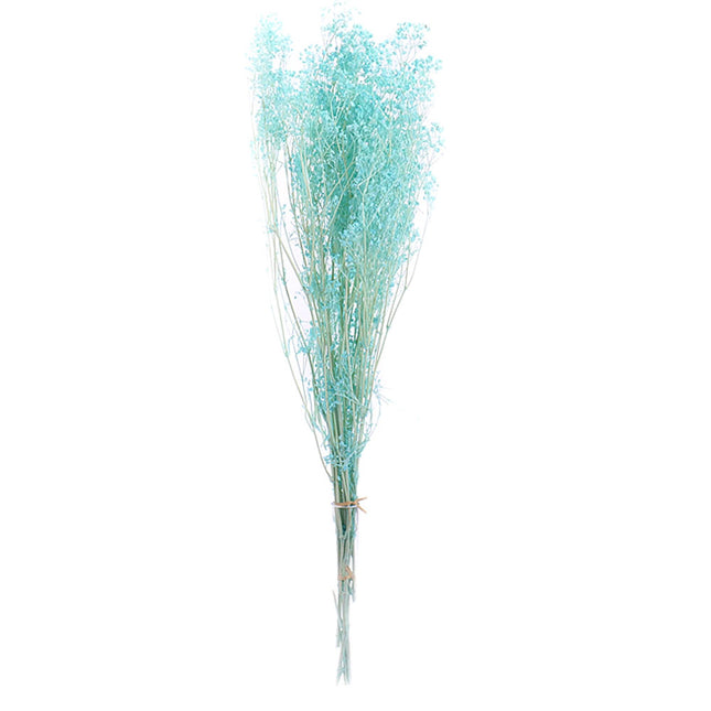 01400053_gypsophila-trvacna-60cm-balenie