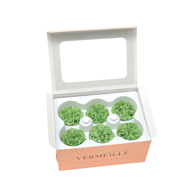 01400123_in-eterno-karafiat-praine-green