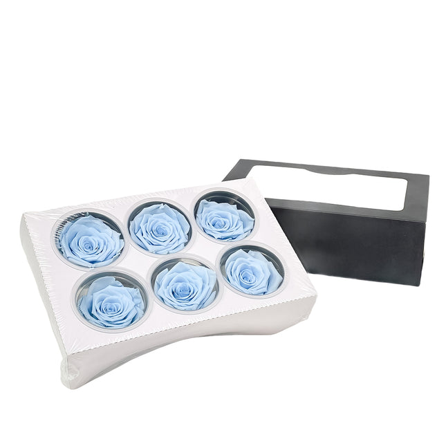01400155_in-eterno-ruza-hlavicka-sv-modra-standard
