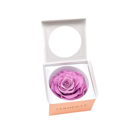 01400180_in-eterno-ruza-magna-lilac