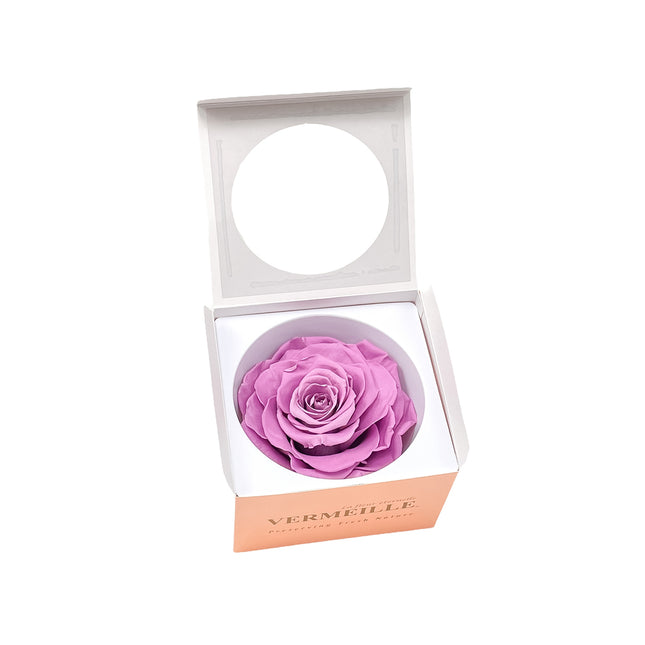 01400180_in-eterno-ruza-magna-lilac