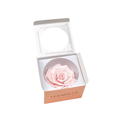01400182_in-eterno-ruza-magna-pink-champagne