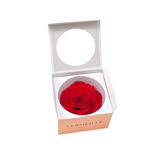 01400183_in-eterno-ruza-magna-red