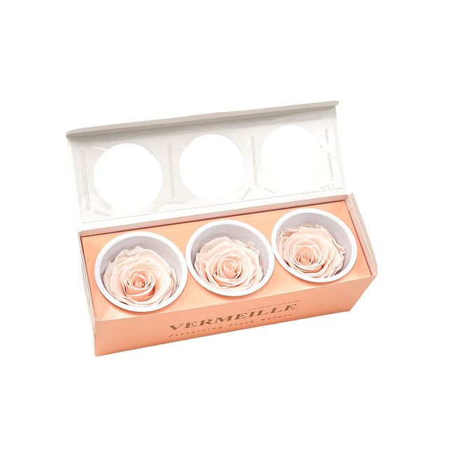 01400188_in-eterno-ruza-monalisa-almond-cream