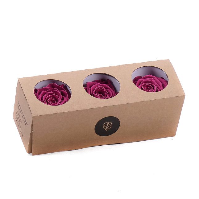 01400211_in-eterno-ruza-monalisa-rose-wine
