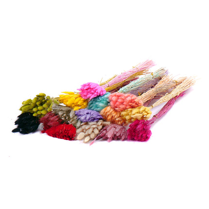 01400252_lagurus-natural-trvacny-50-balenie
