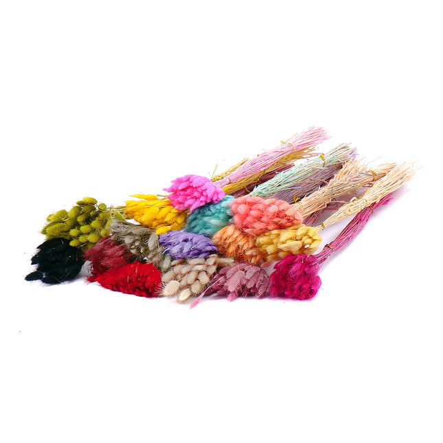01400252_lagurus-natural-trvacny-50-balenie