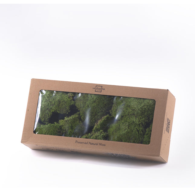 01400282_polemoss-mach-vert-w-box-sv-zeleny