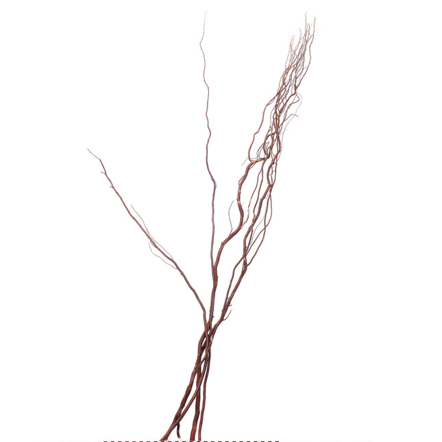 01500133_corylus-170cm-umely-5-balenie