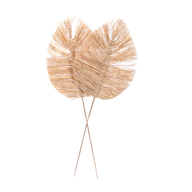01502807_bamboo-spear-large-30-cm-m10-bleach