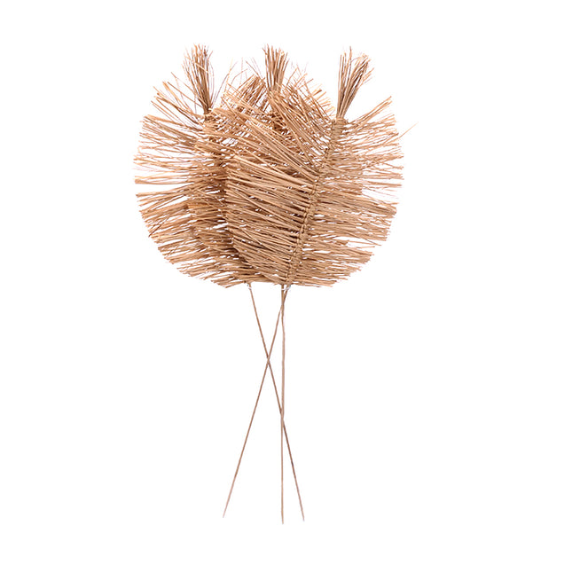 01502808_bamboo-spear-large-30-cm-m11-natural