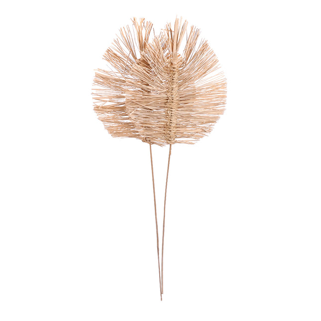 01502809_bamboo-spear-small-25-cm-m12-bleach