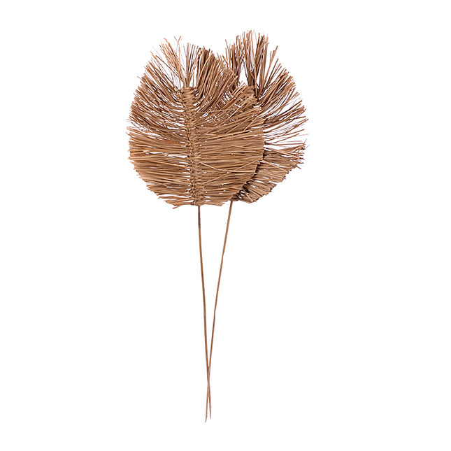 01502810_bamboo-spear-small-25-cm-m13-natural