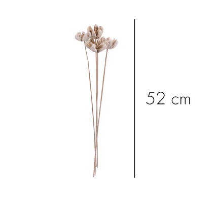 01502818_bullet-flower-open-m21-white-washm-on-50-cm-stem