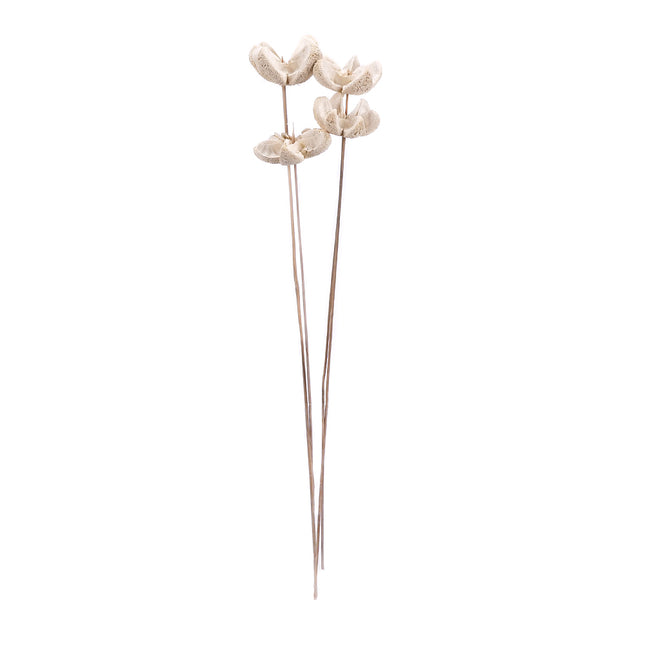 01502819_bullet-flower-m22-bleach-on-stem