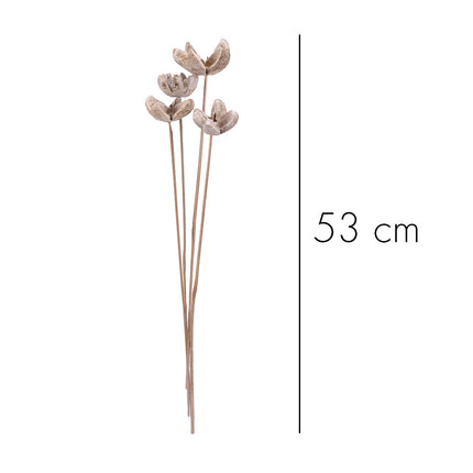 01502819_bullet-flower-m22-bleach-on-stem