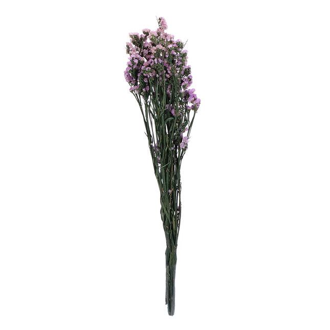 01502877_limonka-trvacna-z51-mix-60cm-balenie