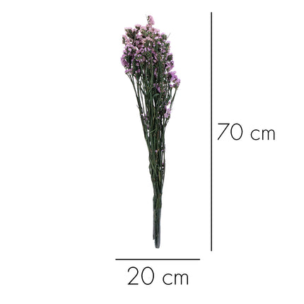 01502877_limonka-trvacna-z51-mix-60cm-balenie