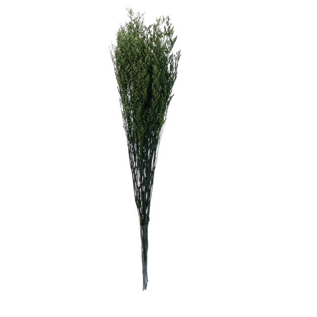 01502879_limonka-trvacna-z55-mix-70cm-balenie