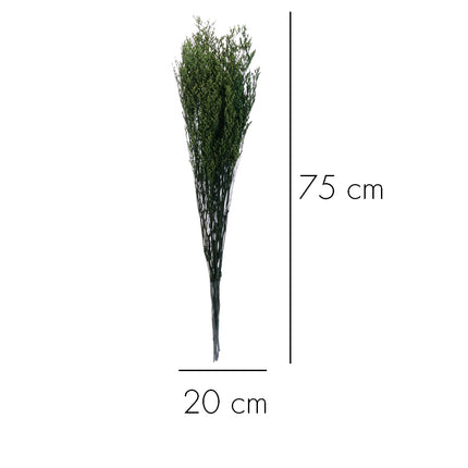 01502879_limonka-trvacna-z55-mix-70cm-balenie