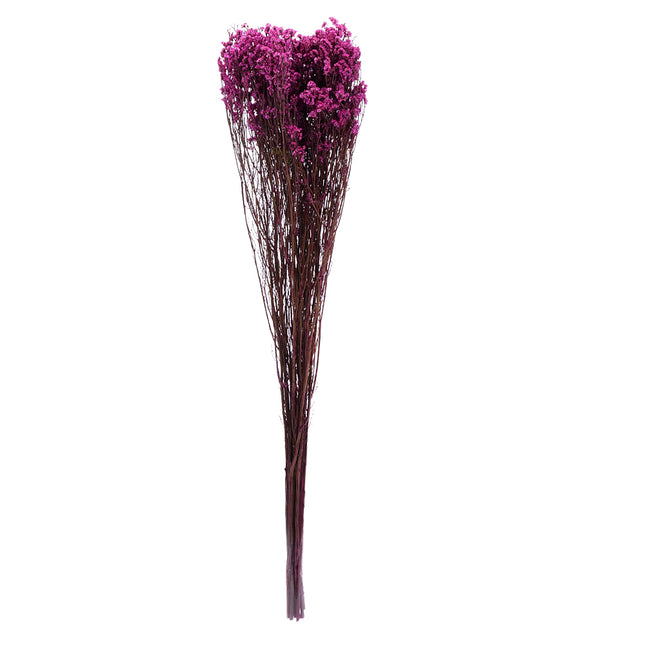 01502884_limonka-trvacna-z49-mix-75cm-balenie