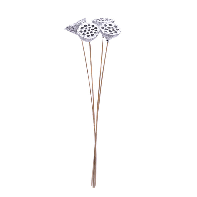 01502907_lotus-pod-medium-6-8-cm-m96-metallic-silver-on-50-cm-stem