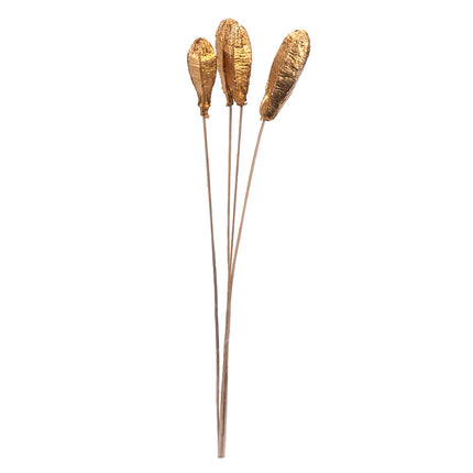 01502914_mehogany-pod-m103-metallic-gold-on-50-cm-stem