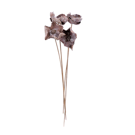 01502924_palm-cap-7-10-cm-m113-white-washm-on-50-cm-stem