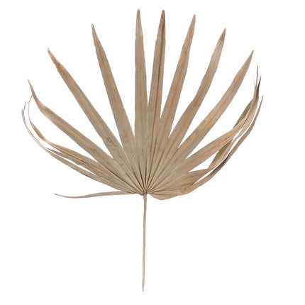 01502925_palm-leaf-uncut-m114-natural