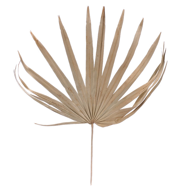 01502925_palm-leaf-uncut-m114-natural
