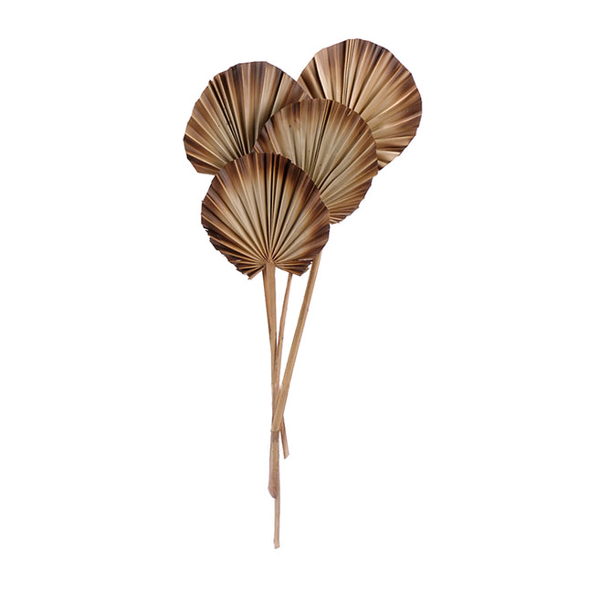 01502926_palm-spear-round-14-16cm-m115-natural-brunt