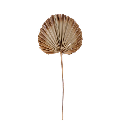 01502927_palm-spear-round-super-20-24-cm-m116-natural-burnt