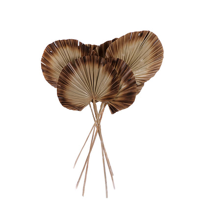 01502927_palm-spear-round-super-20-24-cm-m116-natural-burnt