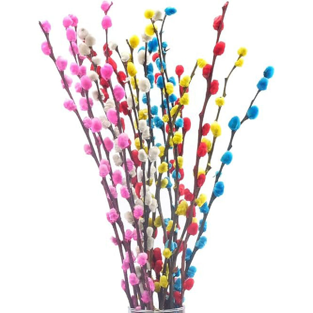 01900347_salix-farbeny-rez