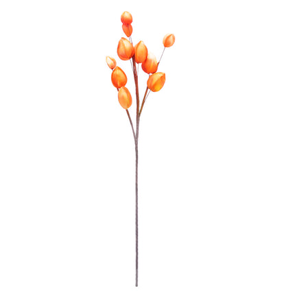 02000002_abutilon-x1-umely-penovy