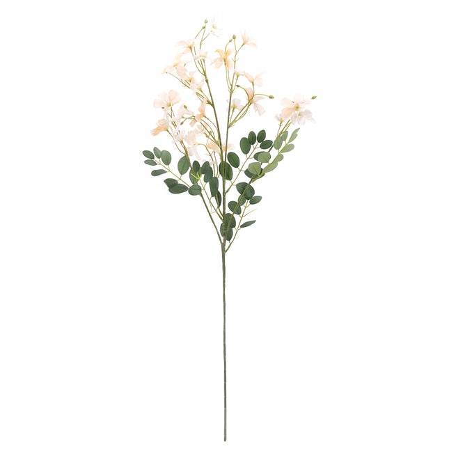 02000009_albizia-x1-mix-g65-umela