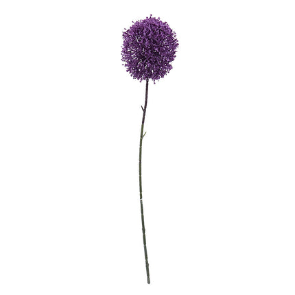 02000013_alium-x1-e46-umely