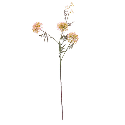 02000019_allium-x1-mix-h84-umele