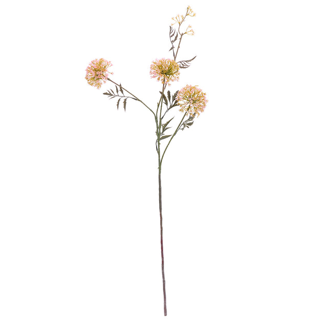 02000019_allium-x1-mix-h84-umele
