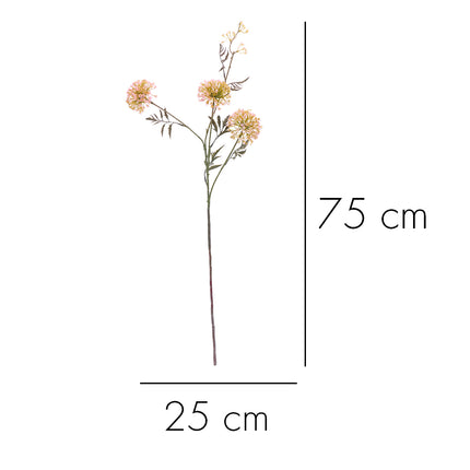 02000019_allium-x1-mix-h84-umele
