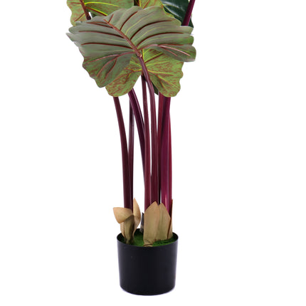 02000028_alocasia-v-kvetinaci-140cm-umela