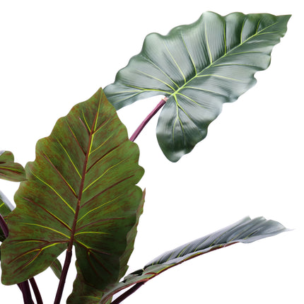 02000028_alocasia-v-kvetinaci-140cm-umela