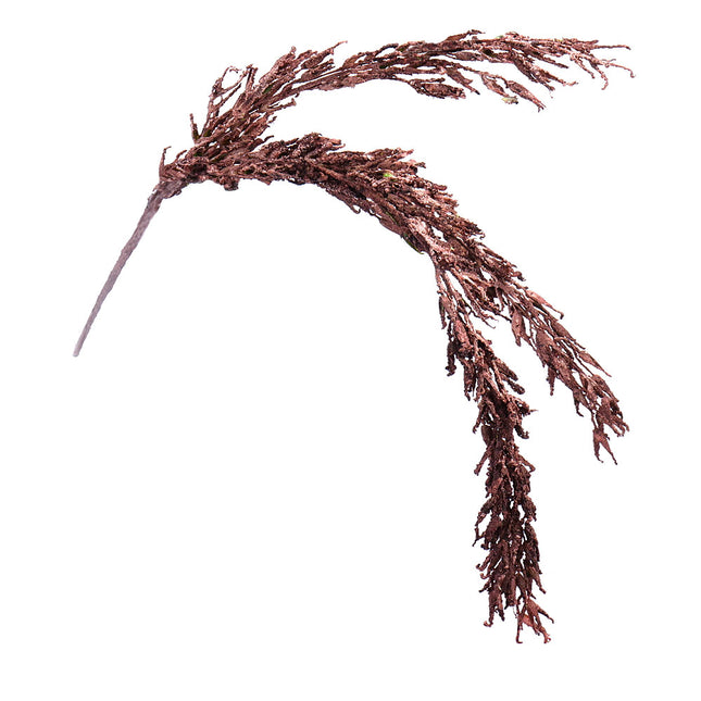 02000039_amaranthus-x1-cement-hnedy-78cm-f211-umely
