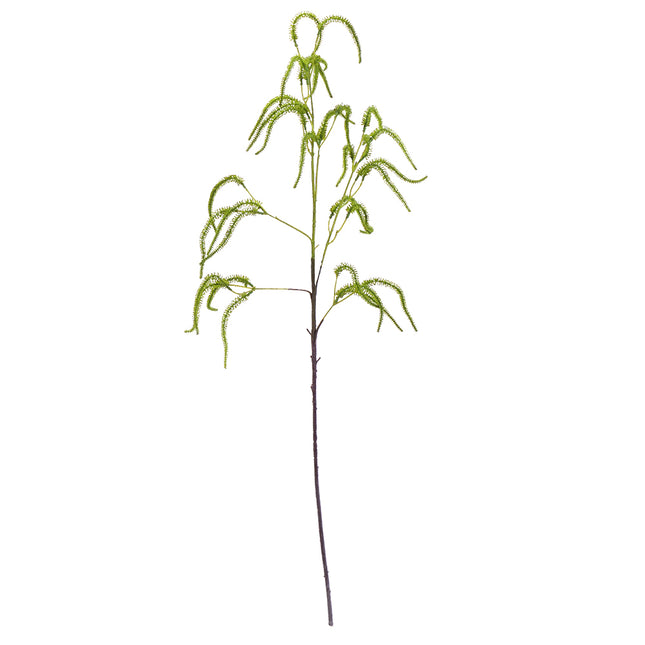 02000040_amaranthus-x1-g107-umely