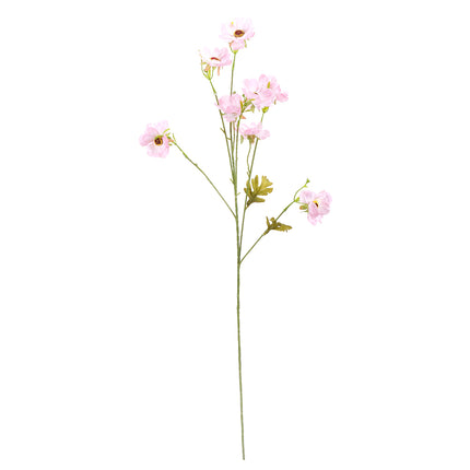 02000044_anemone-x1-mix-g77-umele