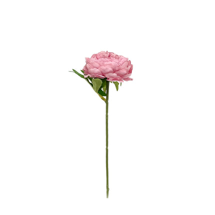 02000046_anemonne-latkove-stopkove-25cm